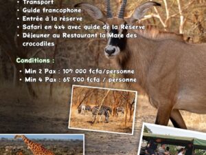 Réserve de Bandia Safari au Cœur de la Faune