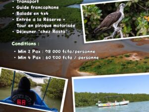 Lagune de Somone Nature, Mangroves et Oiseaux